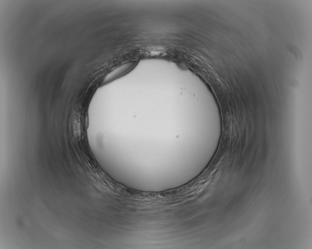 X0000111661442200907171110