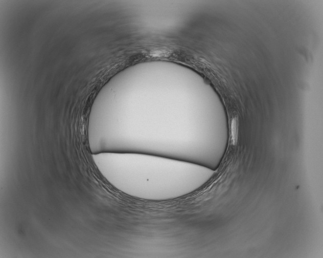 X0000111661443200907171110