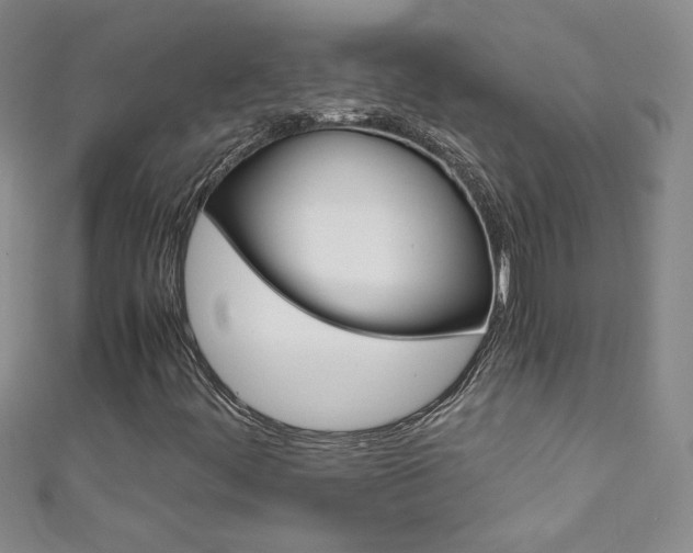 X0000111661444200907171110