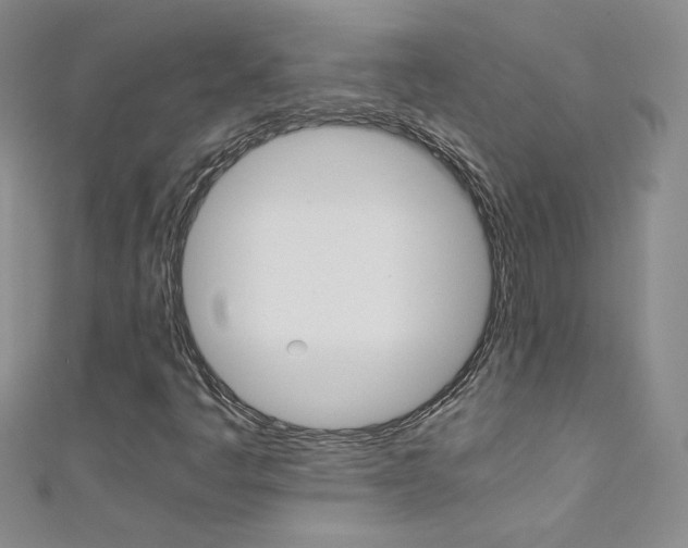 X0000111661445200907171110