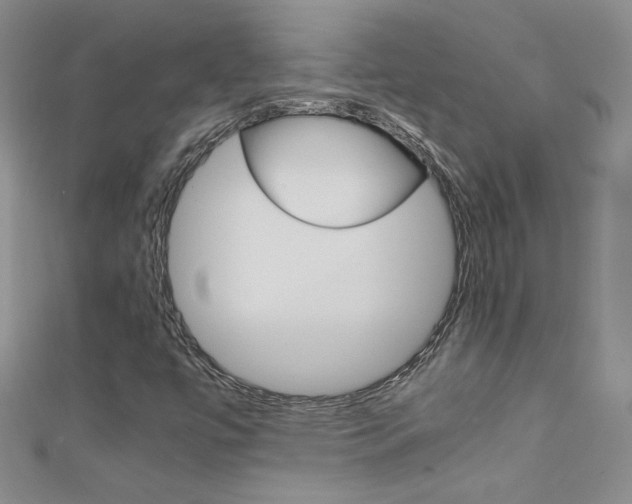 X0000111661447200907171110