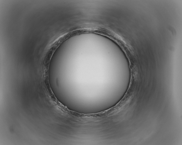X0000111661448200907171110