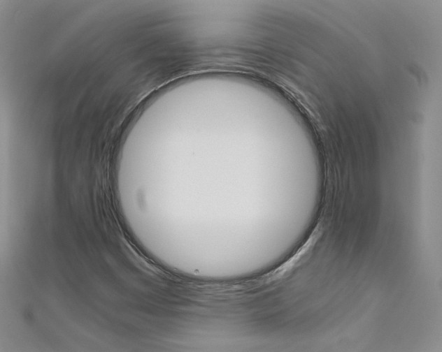 X0000111661449200907171110