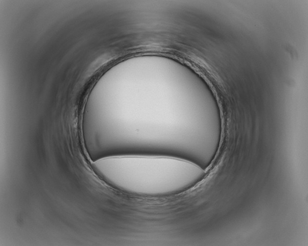 X0000111661450200907171110