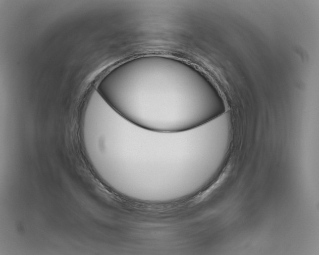 X0000111661453200907171110