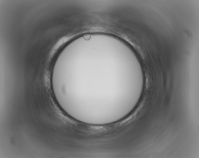 X0000111661454200907171110
