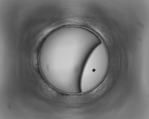 X0000111661455200907171110