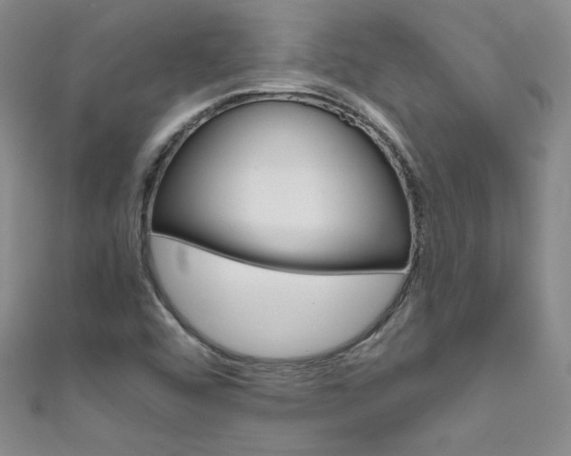 X0000111661456200907171110