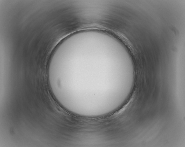 X0000111661457200907171110