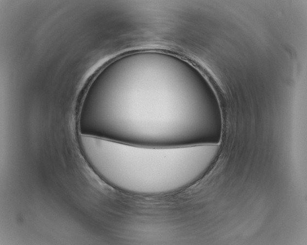 X0000111661460200907171109
