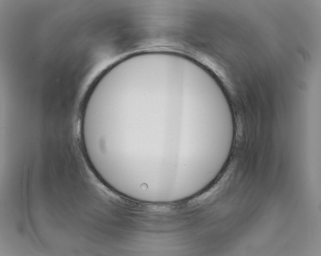 X0000111661462200907171109