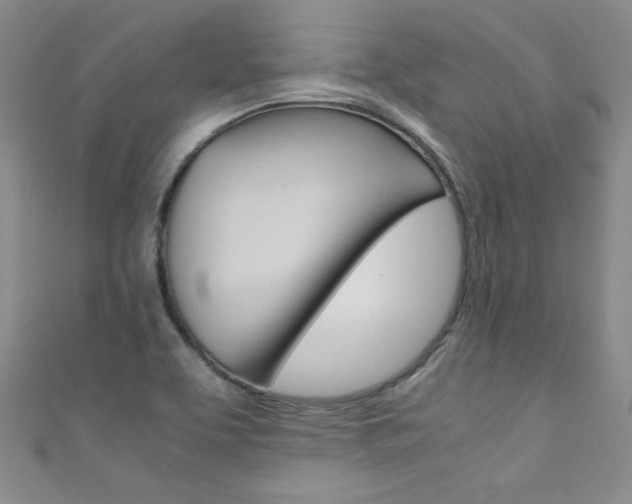 X0000111661463200907171109