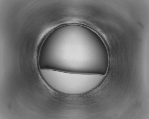 X0000111661464200907171109