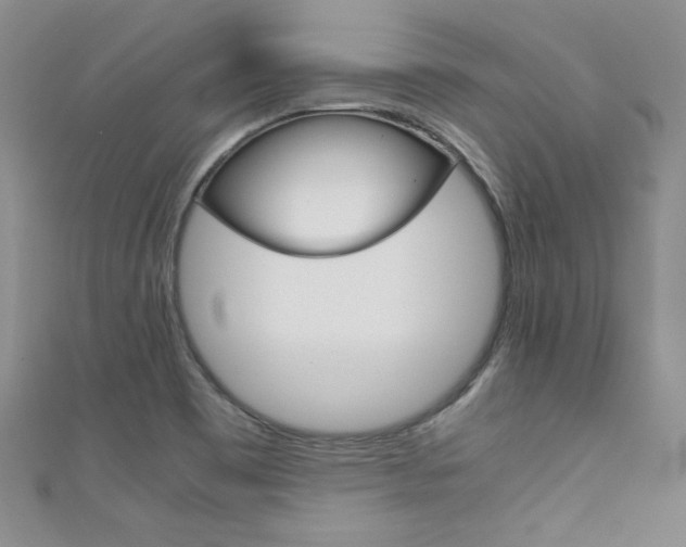 X0000111661465200907171109