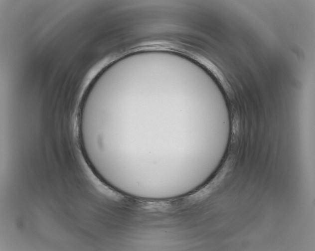 X0000111661466200907171109