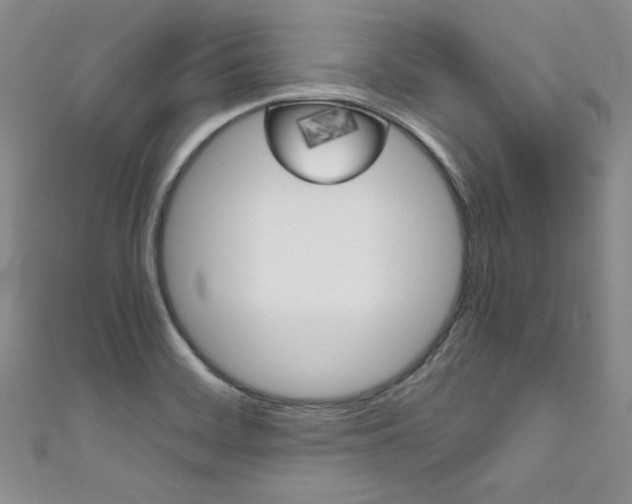 X0000111661468200907171109
