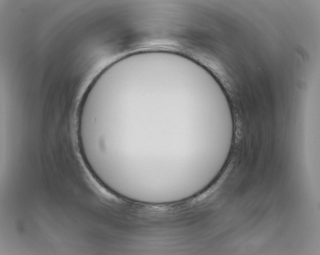 X0000111661470200907171109