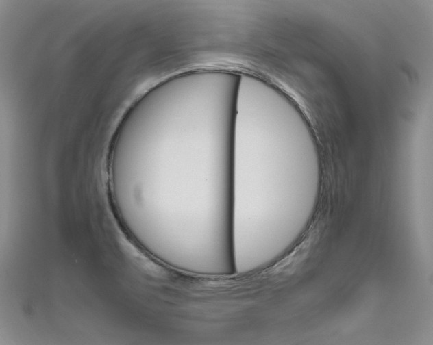 X0000111661471200907171109