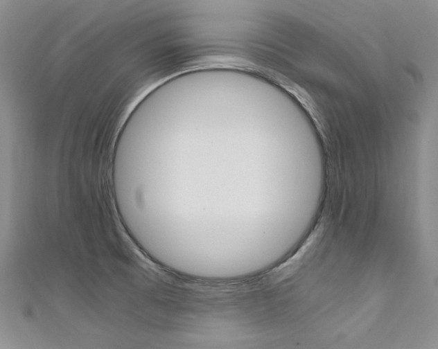 X0000111661473200907171109
