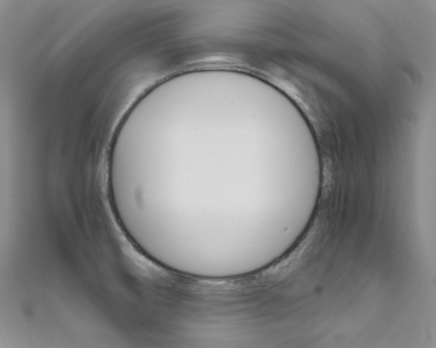 X0000111661474200907171109