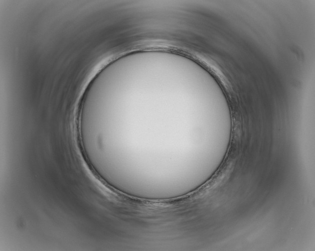 X0000111661475200907171109