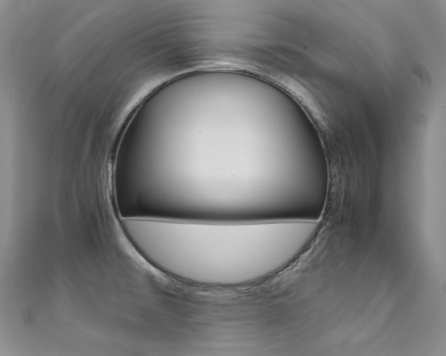 X0000111661476200907171109