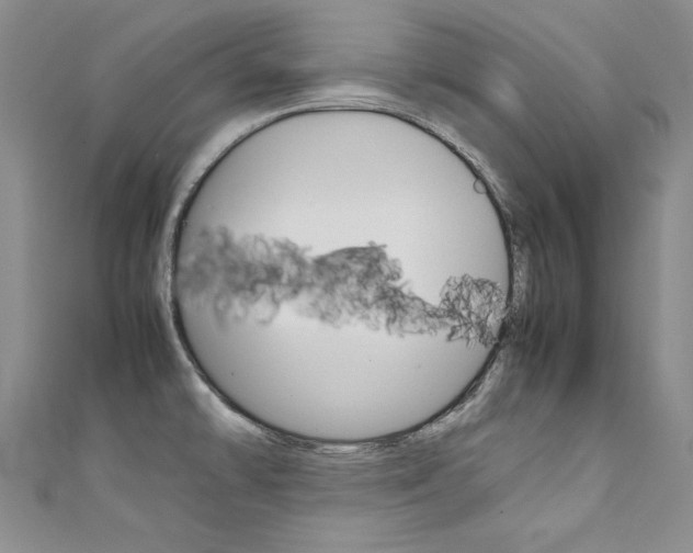 X0000111661478200907171109
