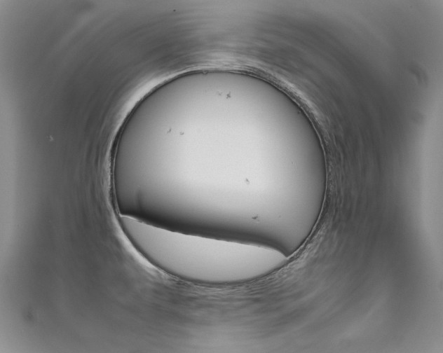 X0000111661479200907171109