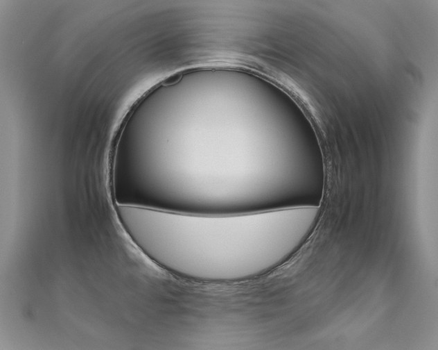 X0000111661480200907171109