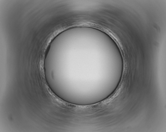 X0000111661481200907171109
