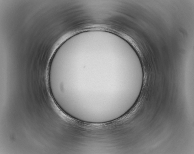 X0000111661482200907171109