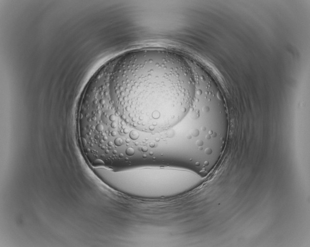 X0000111661483200907171109