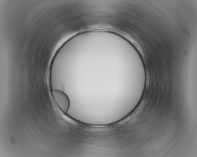 X0000111661486200907171109