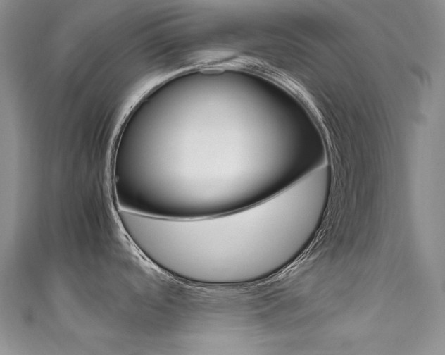 X0000111661488200907171109