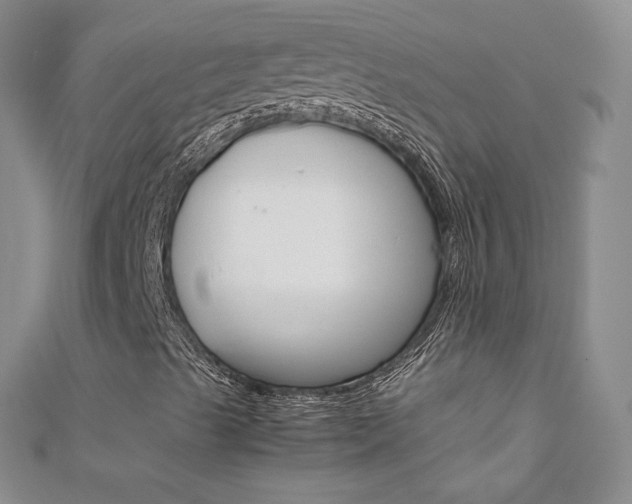 X0000111661489200907171109