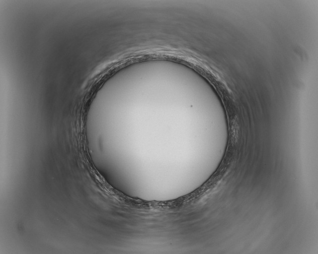 X0000111661494200907171109