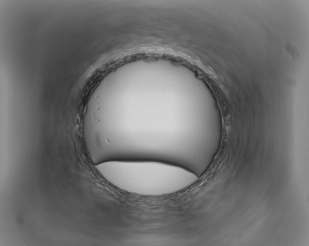 X0000111661495200907171109