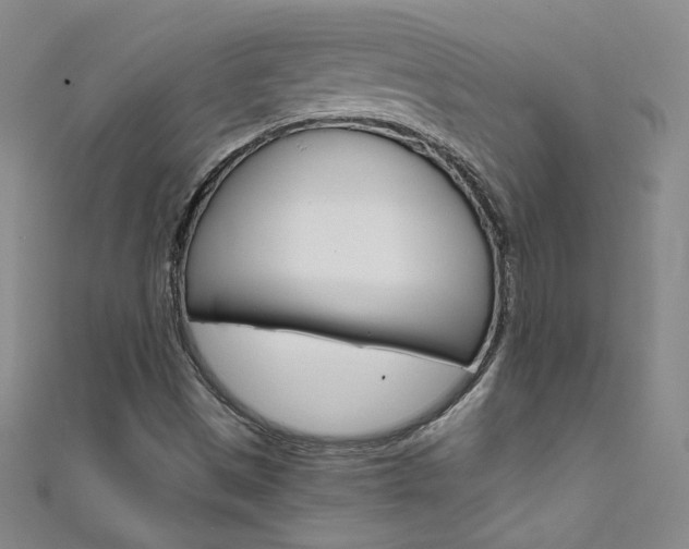 X0000111661497200907171109