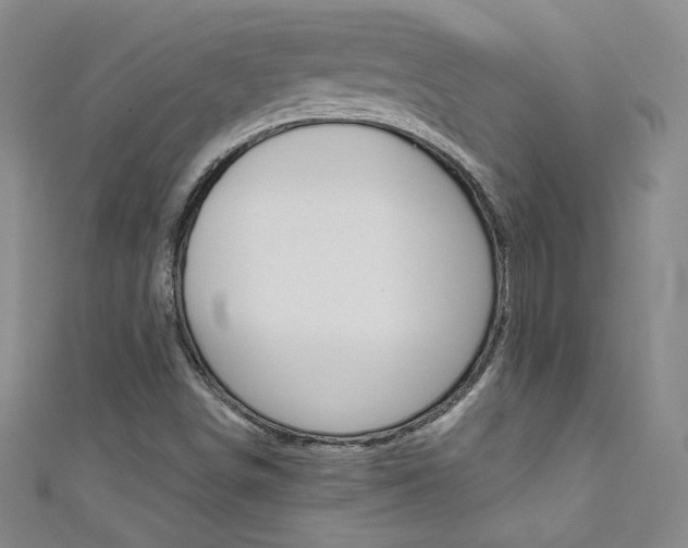 X0000111661498200907171109