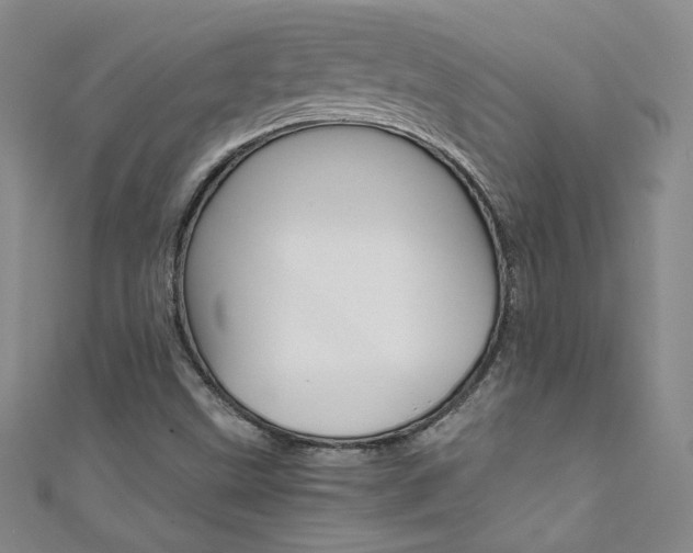 X0000111661499200907171109