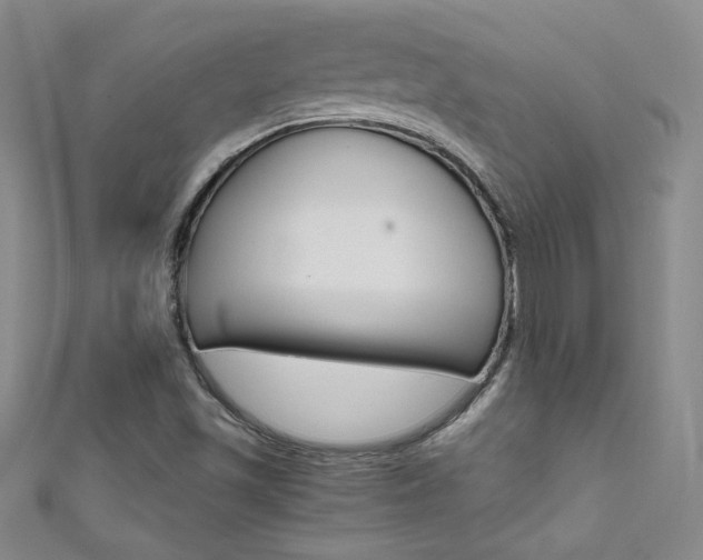 X0000111661501200907171109