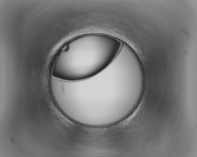 X0000111661502200907171109