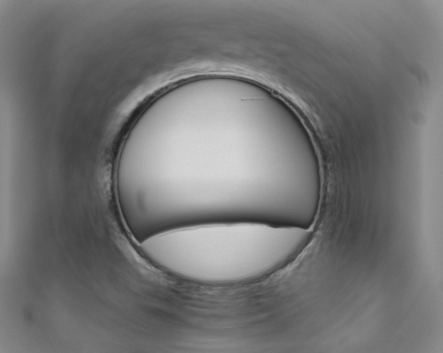 X0000111661503200907171109