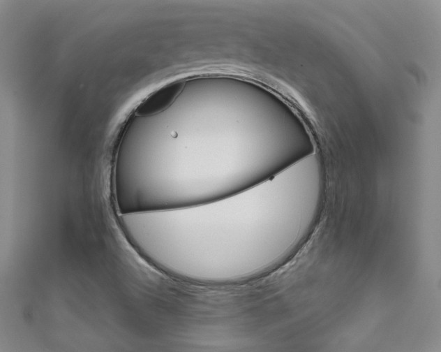 X0000111661504200907171109