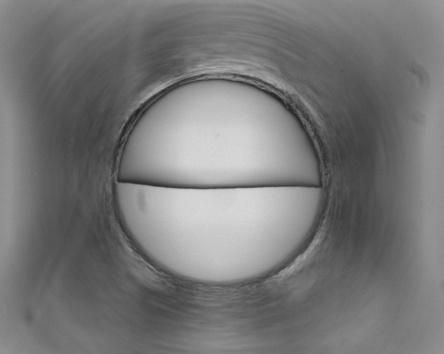 X0000111661505200907171109