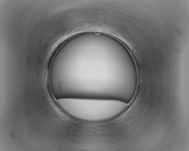 X0000111661507200907171109