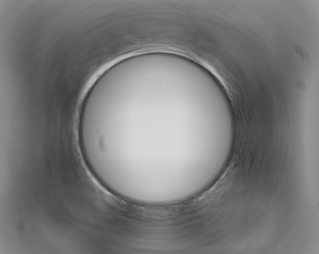 X0000111661508200907171109