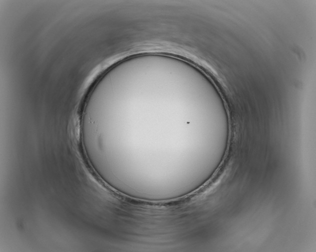 X0000111661509200907171109