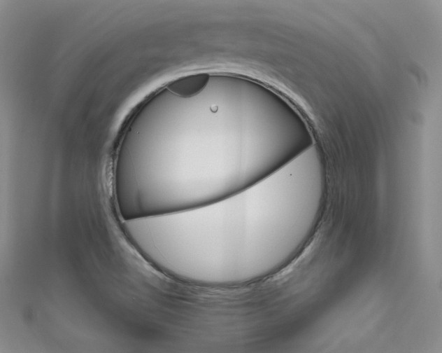 X0000111661510200907171109