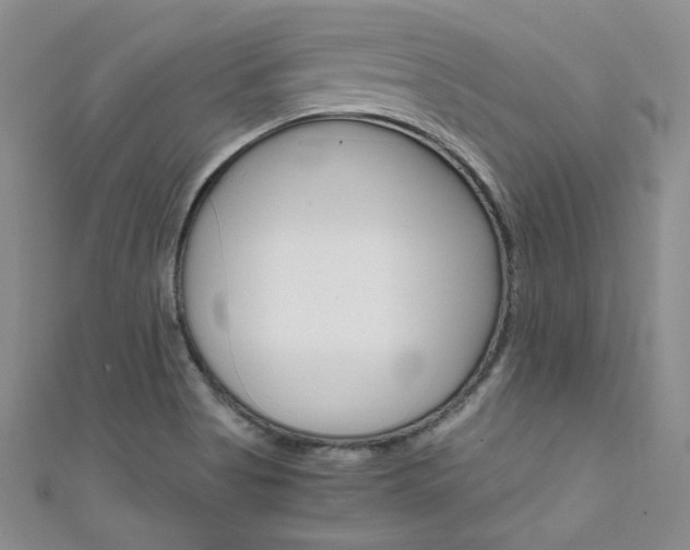 X0000111661513200907171109